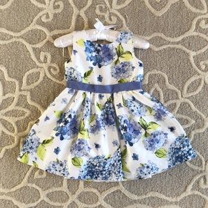 Gymboree Hydrangea floral dress
18-24 mo
